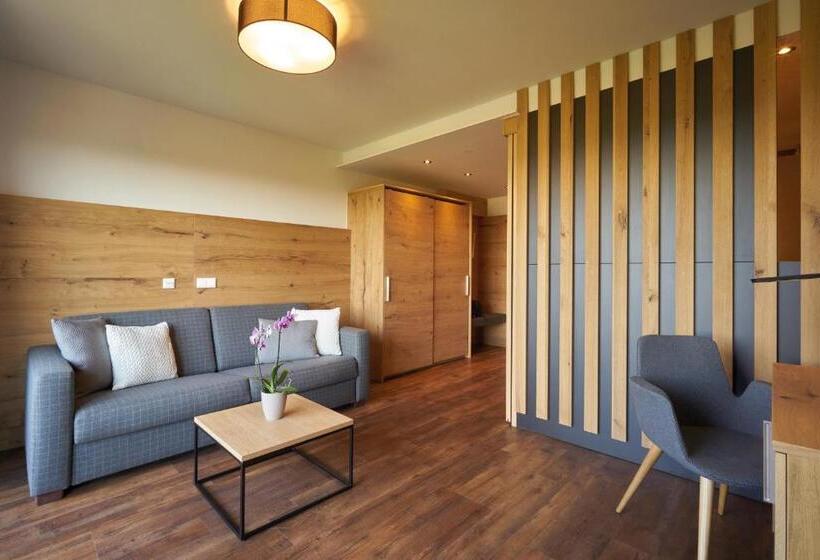 Студия Стандарт, Wellnesshotel Zum Koch