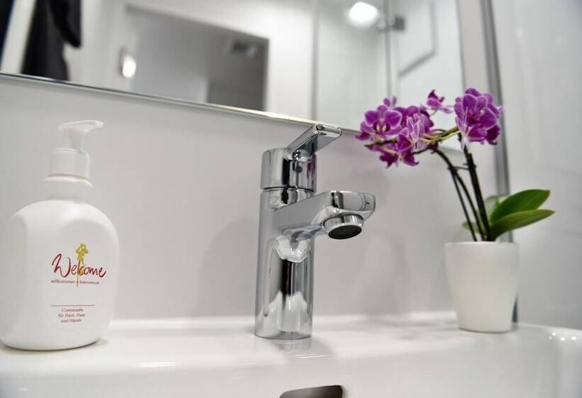 غرفة قياسية فردية, Am Alten Park