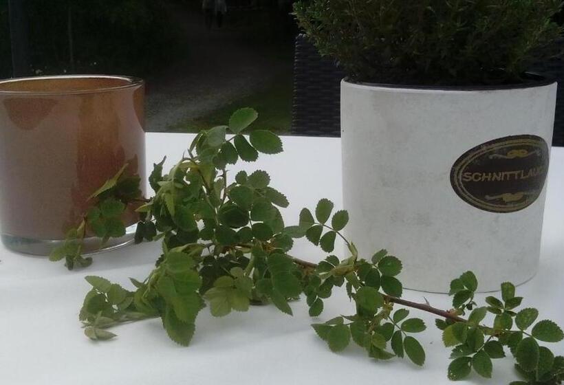 Номер Стандарт, Am Untreusee