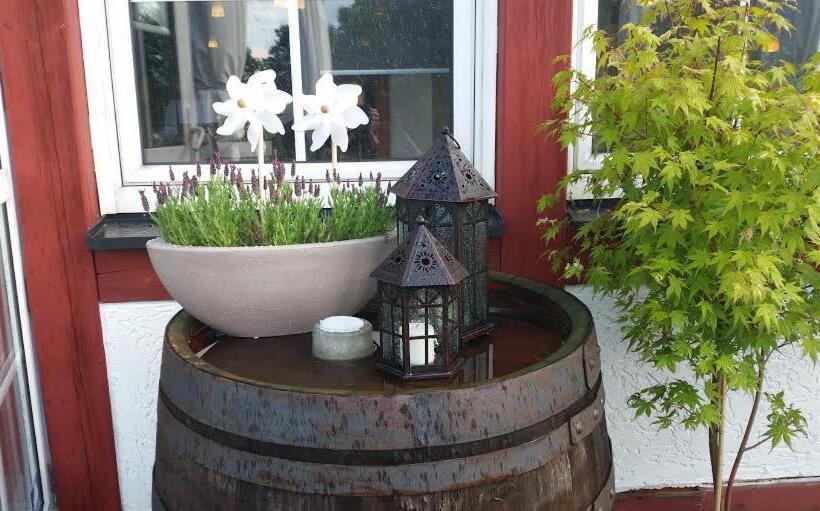 Номер Стандарт, Am Untreusee