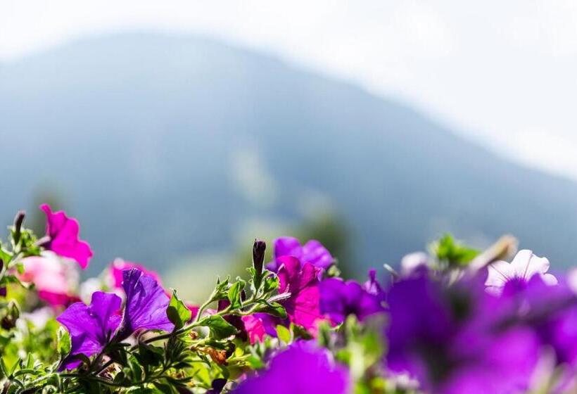 コンフォートルーム, Garni Bergidyll Adults Only