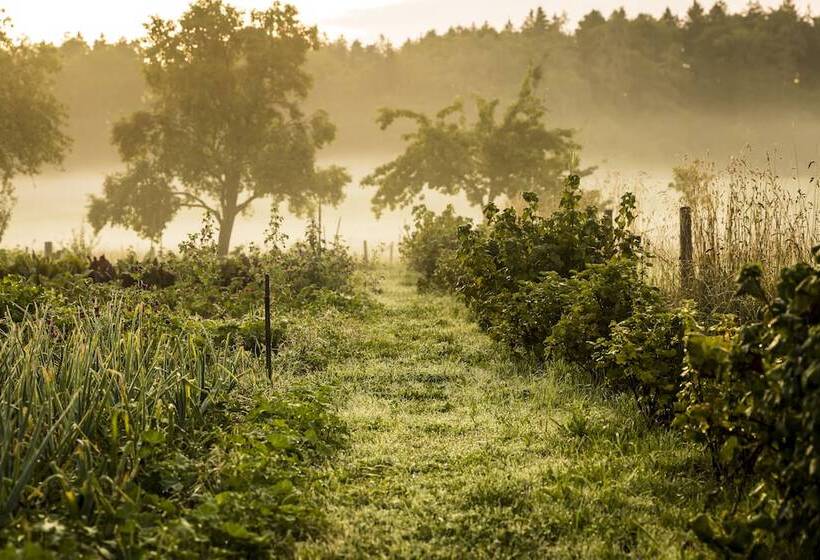 エコノミーシングルルーム, Gut Sonnenhausen