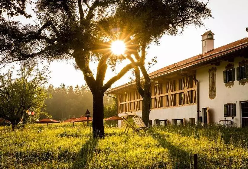 اتاق استاندارد یک نفره, Gut Sonnenhausen