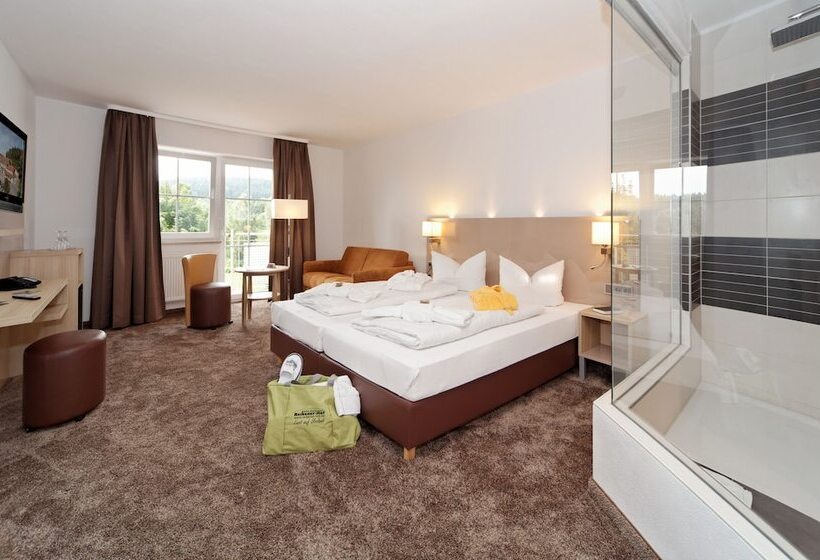 컴포트 룸, & Spa Reibener Hof