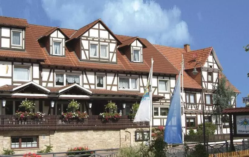 スタンダードルーム, Landhotel Zum Stern