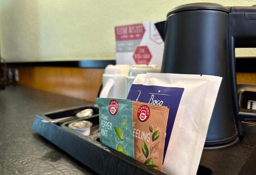 디럭스 룸, Residenz