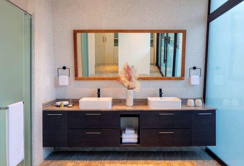 Полулюкс с Бассейном, Anantara World Islands Dubai Resort