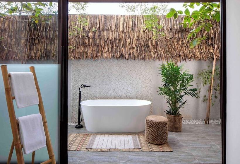 Полулюкс с Бассейном, Anantara World Islands Dubai Resort