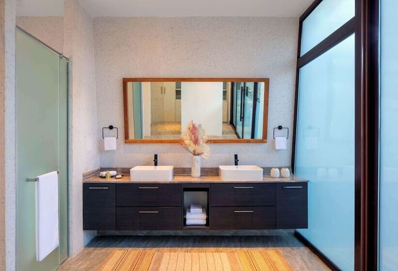 Полулюкс с Бассейном, Anantara World Islands Dubai Resort