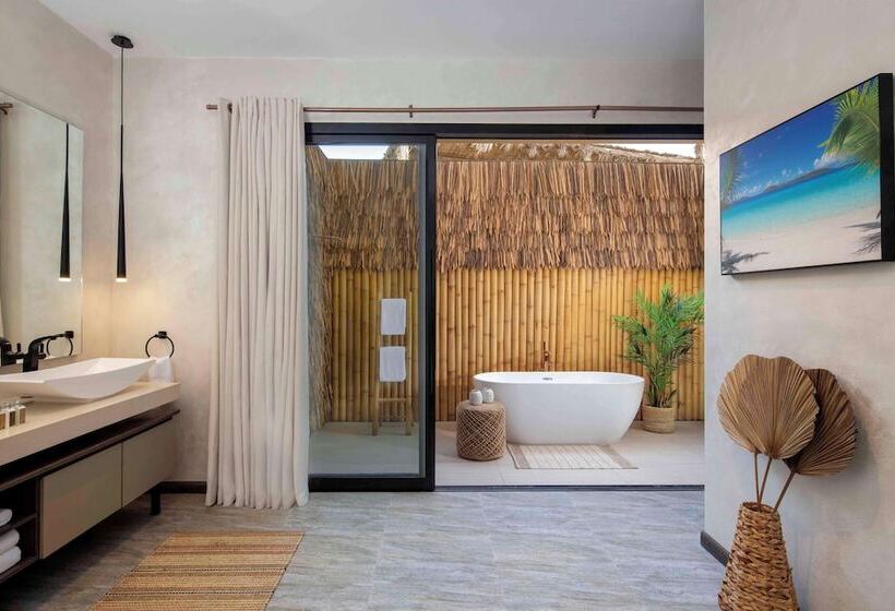 Полулюкс с Бассейном, Anantara World Islands Dubai Resort