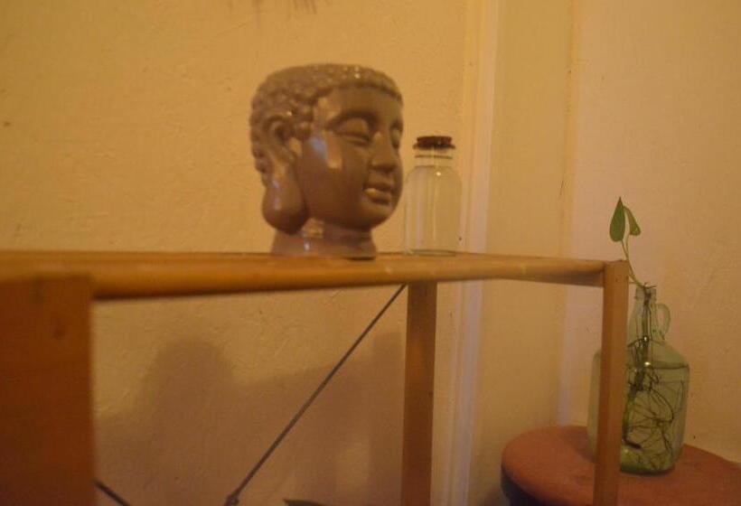 חדר סטנדרט, Canova Hostel & Pizza