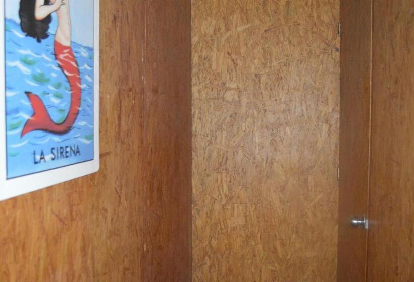 מיטה בחדר משותף, Canova Hostel & Pizza