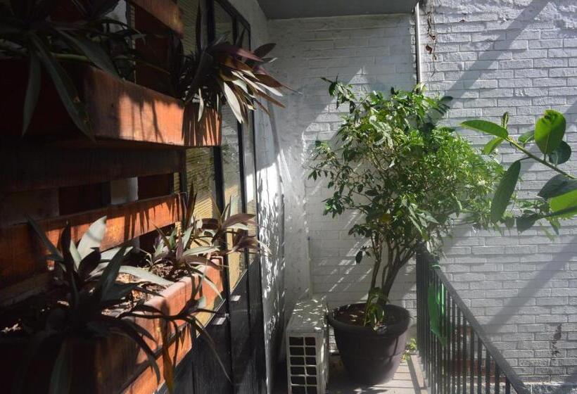 מיטה בחדר משותף, Canova Hostel & Pizza