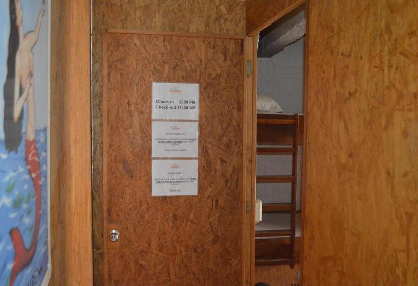 מיטה בחדר משותף, Canova Hostel & Pizza