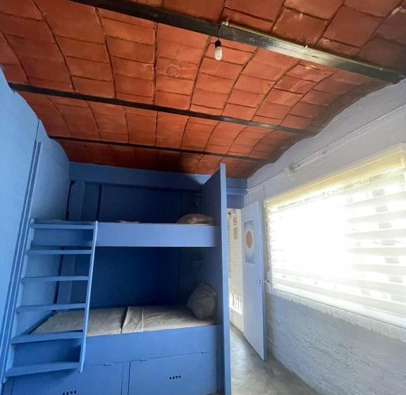 חדר משפחתי, Canova Hostel & Pizza