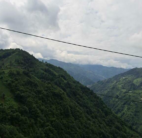 חדר דלוקס, Orca Bungalows