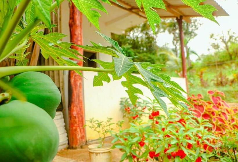 Номер Стандарт, Sigiri Gayani Home Stay