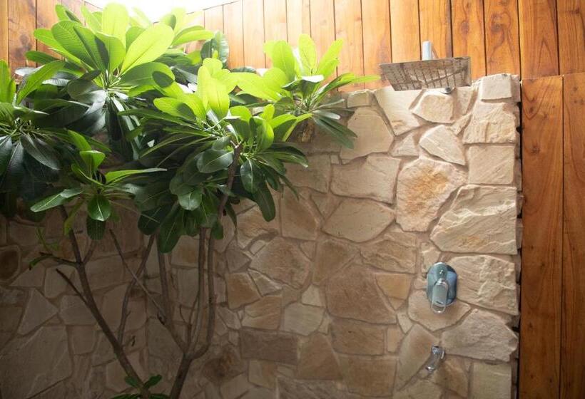 ツーベッドルーム ヴィラ, Palm Villas