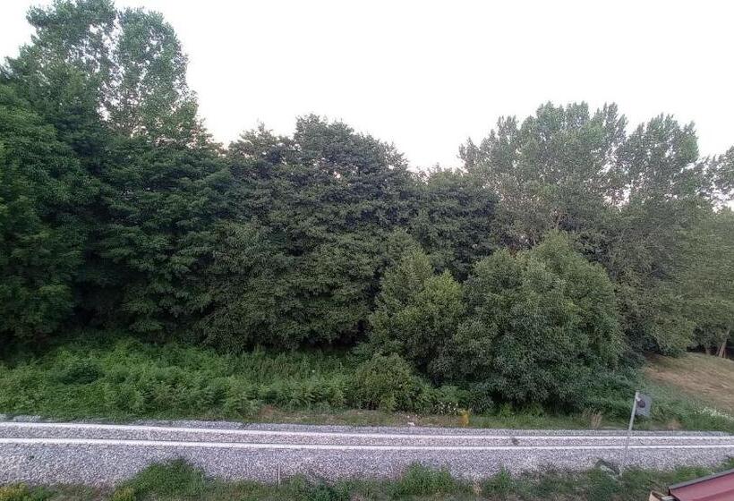 غرفة سوبيريور رباعية, Ristorante Caligiuri