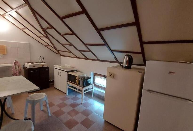 غرفة قياسية رباعية, вила радеви