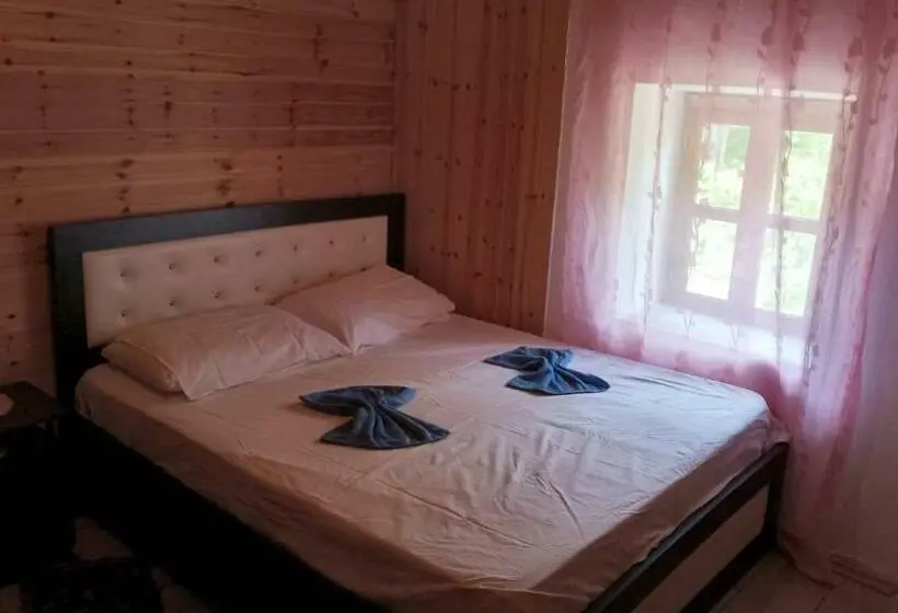 Quarto Estandar, Bujtina Carku