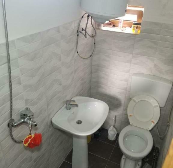 スタンダードルーム, Bujtina Carku