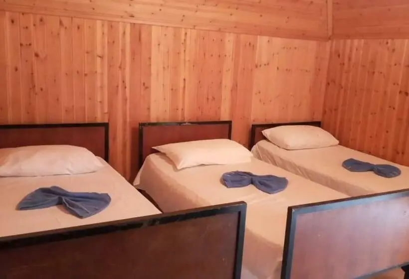 Quarto Quádruplo Estandar, Bujtina Carku