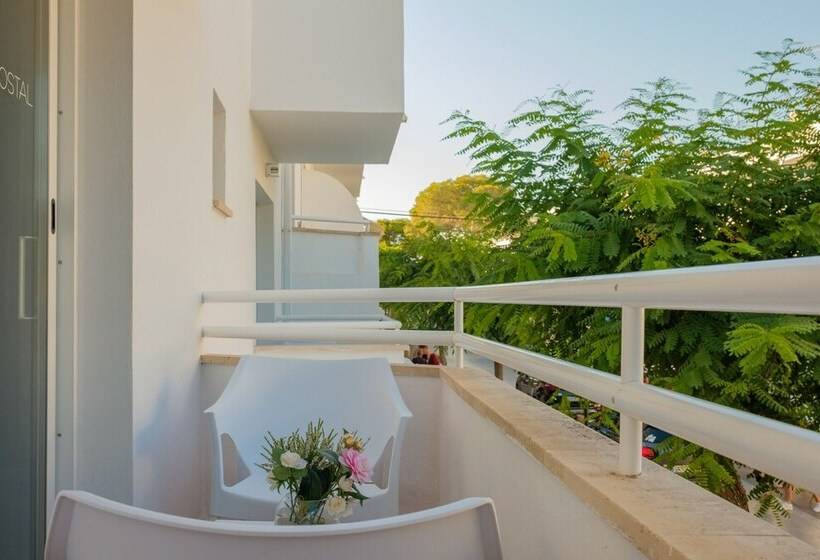Номер Стандарт, Iroco Hostal