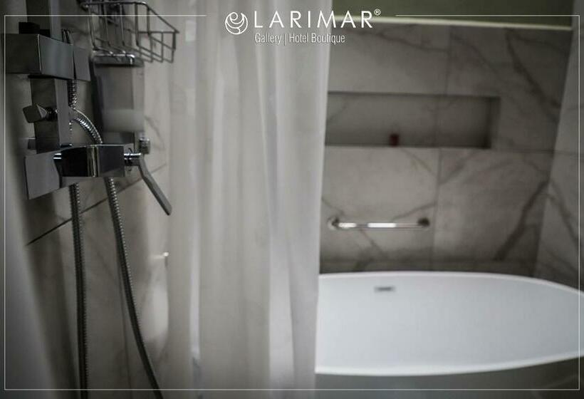 اتاق سوپریور با تخت بزرگ, Larimar Gallery Y Hotel Boutique