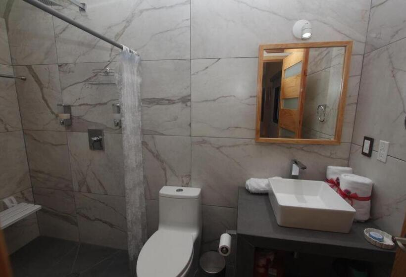 اتاق استاندارد با تخت بزرگ, Larimar Gallery Y Hotel Boutique