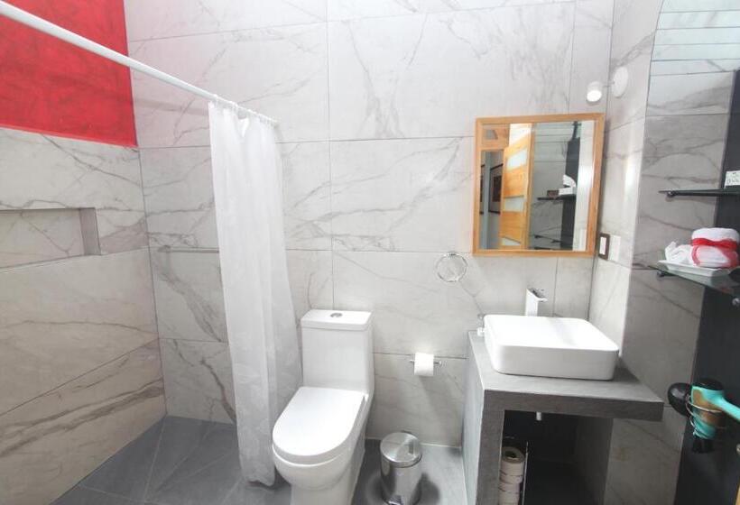 اتاق سوپریور با تخت بزرگ, Larimar Gallery Y Hotel Boutique