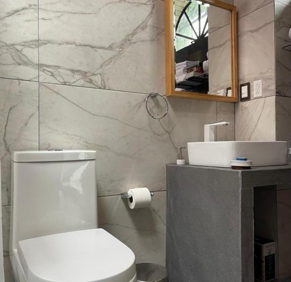 اتاق سوپریور با تخت بزرگ, Larimar Gallery Y Hotel Boutique