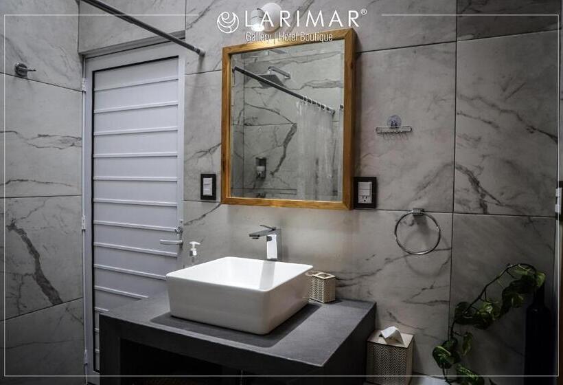 اتاق استاندارد با تخت بزرگ, Larimar Gallery Y Hotel Boutique