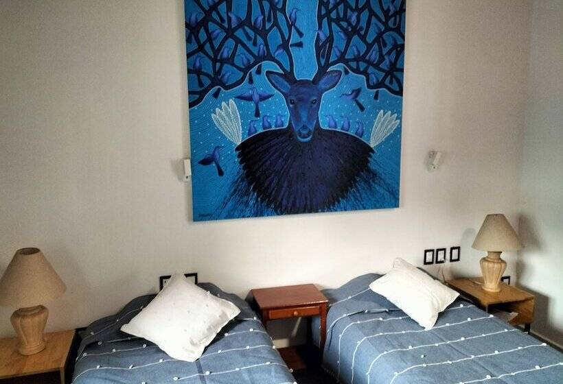 اتاق استاندارد, Larimar Gallery Y Hotel Boutique