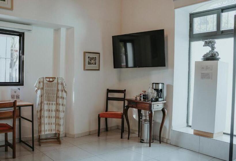 اتاق سوپریور با تخت بزرگ, Larimar Gallery Y Hotel Boutique