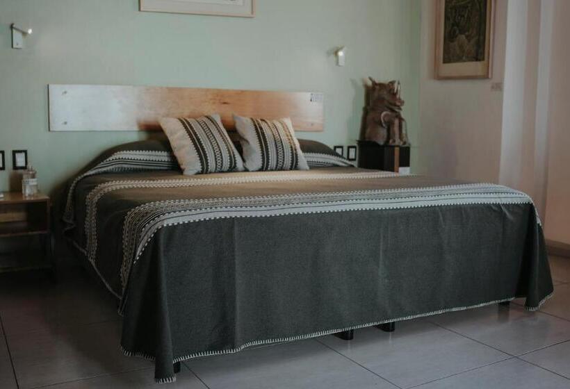 اتاق سوپریور با تخت بزرگ, Larimar Gallery Y Hotel Boutique