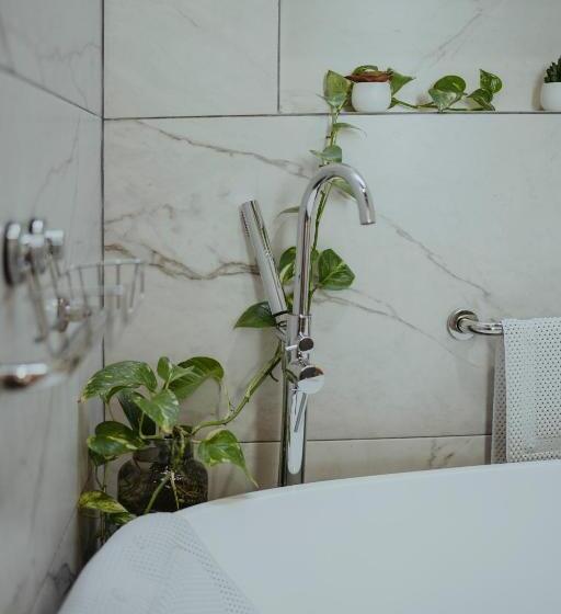 اتاق سوپریور با تخت بزرگ, Larimar Gallery Y Hotel Boutique