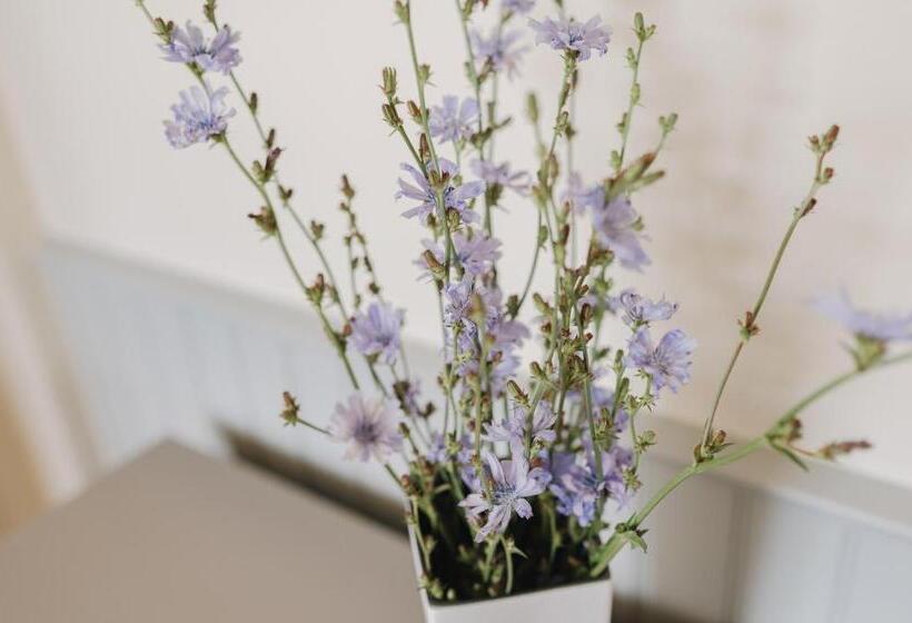 اتاق پریمیوم چهارنفره, Villa Fannyhof