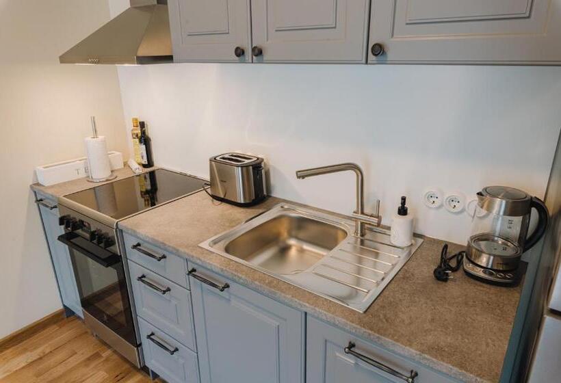 استودیو استاندارد با تخت کینگ, Villa Fannyhof