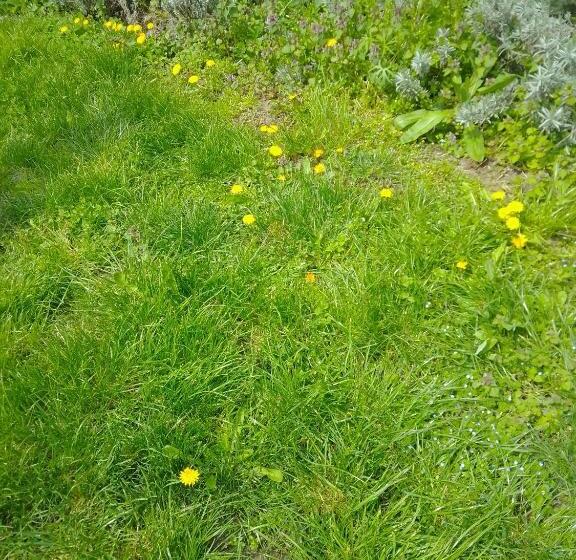 غرفة عائلية, Casa Mocanu