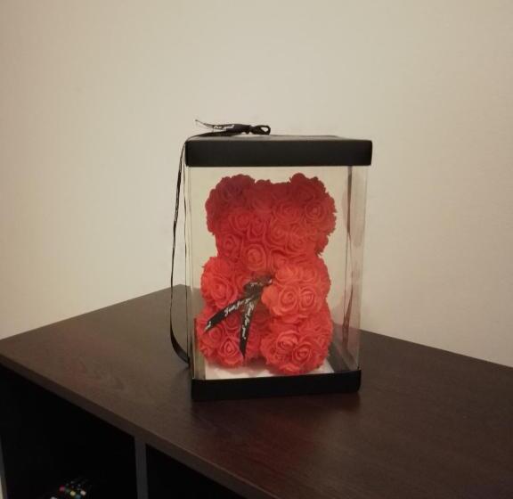 غرفة عائلية, Casa Mocanu