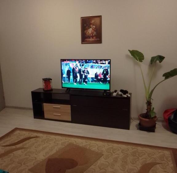 غرفة عائلية, Casa Mocanu