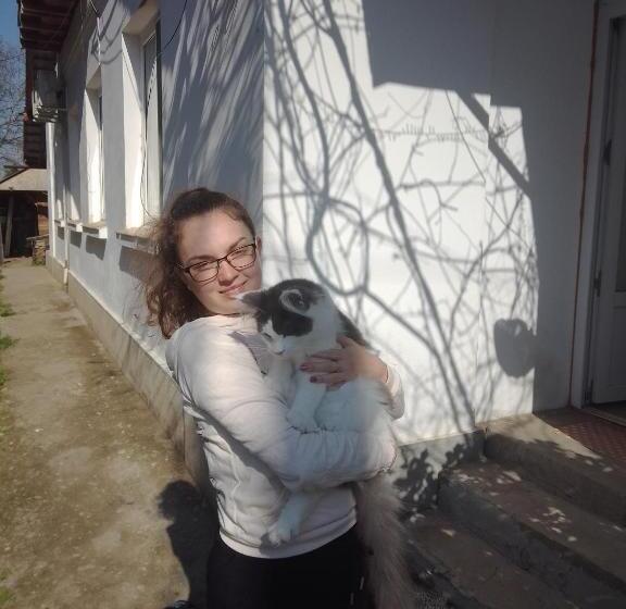 חדר משפחתי, Casa Mocanu