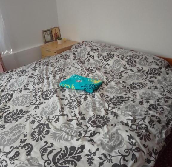 غرفة قياسية حمام مشترك, Casa Mocanu