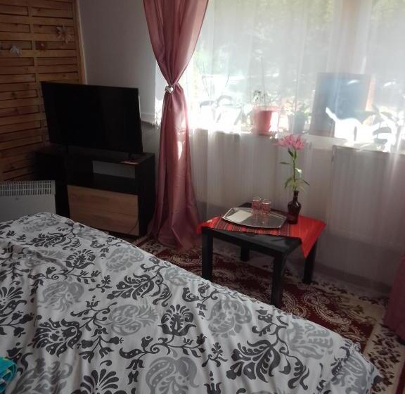 带共用浴室的标准房间, Casa Mocanu
