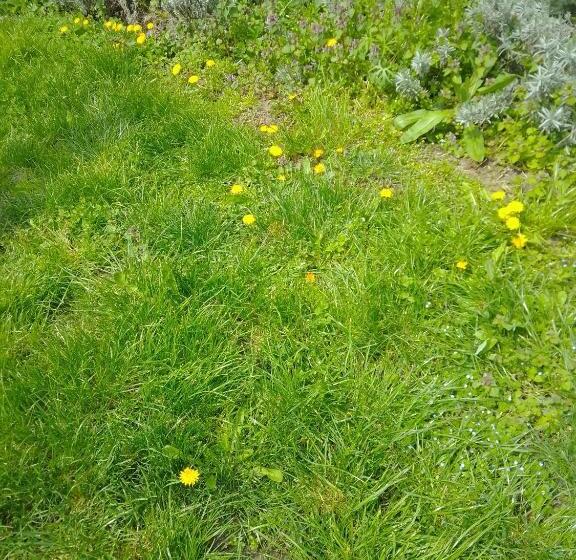 غرفة قياسية حمام مشترك, Casa Mocanu