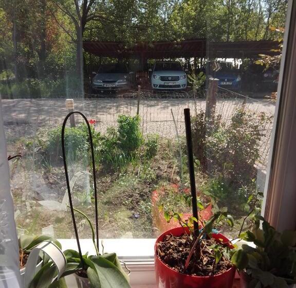 غرفة قياسية حمام مشترك, Casa Mocanu