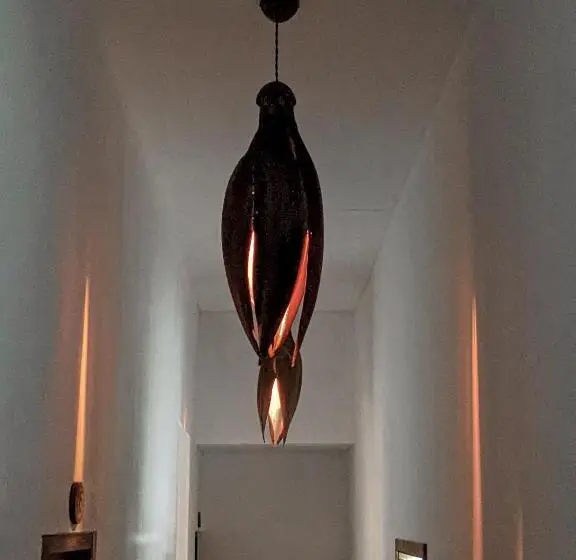 اتاق استاندارد, Dhoadhi Retreat