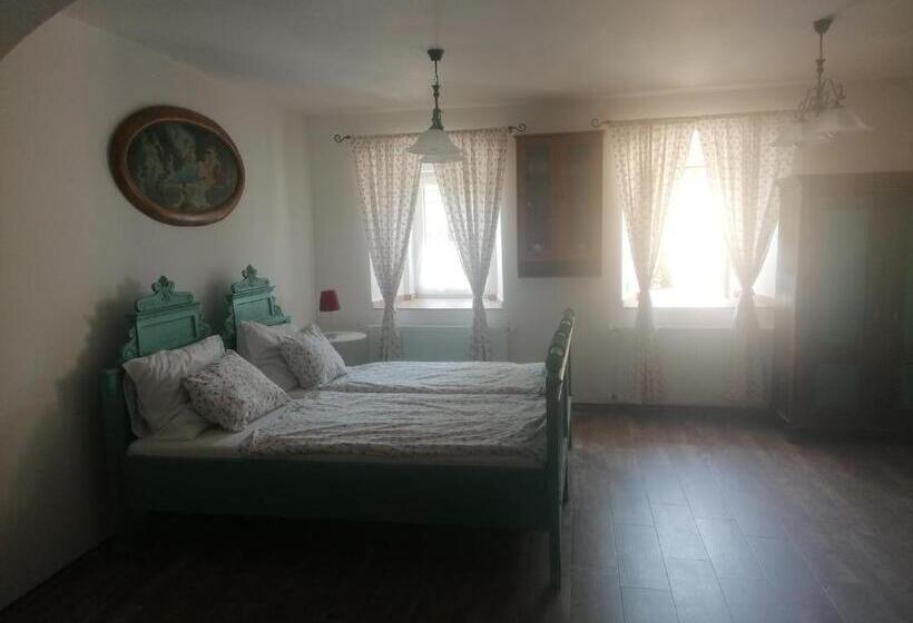 סטודיו סטנדרטי נוף לגינה, Penzion Henke