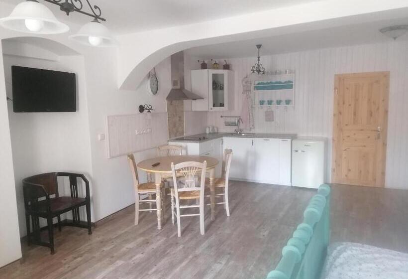 סטודיו סטנדרטי נוף לגינה, Penzion Henke